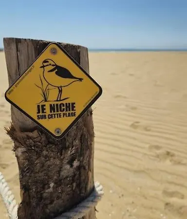 Сasa de vacaciones Maisonnette Avec Velos - Proche Mer 360m Les Mouettes